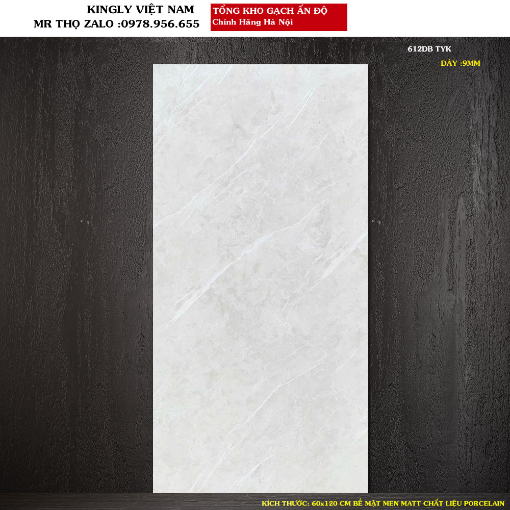 Gạch ẤN ĐỘ 60X120 CM 612DB Loại 1
